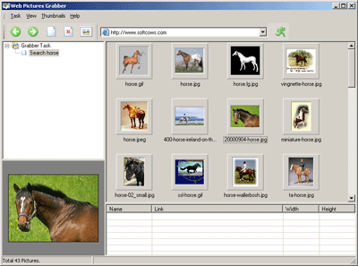 Web Picture Grabber Screenshot