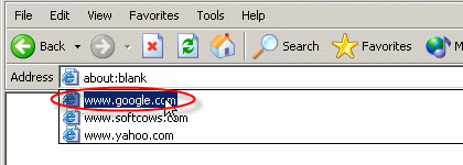 Delete Google in Internet Explorer address lists